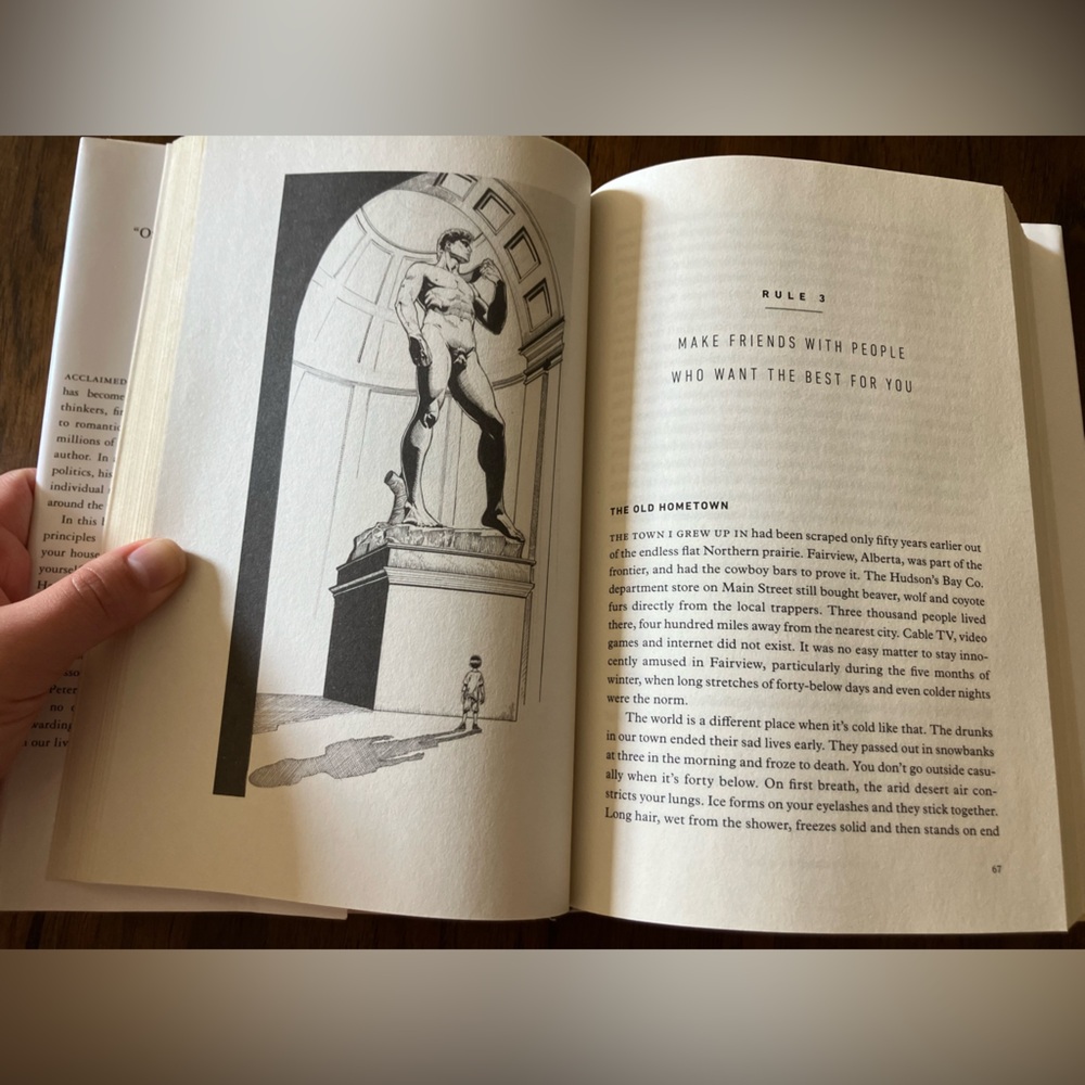12 Rules for Life by Jordan B. Peterson - White & Gold Hardcover - Picture 5 of 6